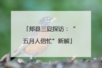 郏县三夏探访：“五月人倍忙”新解