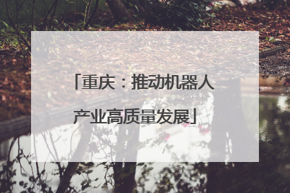 重庆：推动机器人产业高质量发展