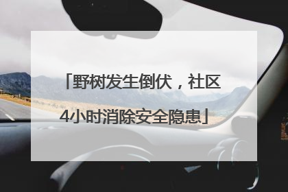 野树发生倒伏，社区4小时消除安全隐患