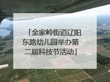 金家岭街道辽阳东路幼儿园举办第二届科技节活动