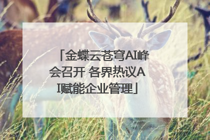金蝶云苍穹AI峰会召开 各界热议AI赋能企业管理