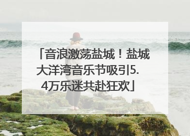 音浪激荡盐城！盐城大洋湾音乐节吸引5.4万乐迷共赴狂欢