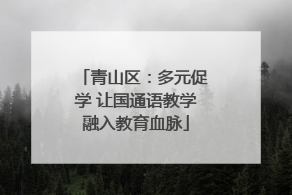青山区：多元促学 让国通语教学融入教育血脉