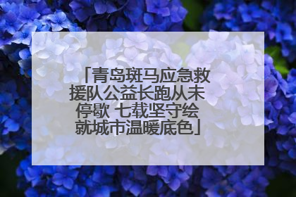 青岛斑马应急救援队公益长跑从未停歇 七载坚守绘就城市温暖底色