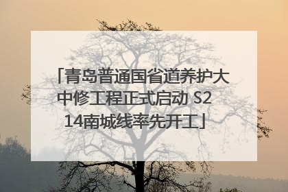 青岛普通国省道养护大中修工程正式启动 S214南城线率先开工