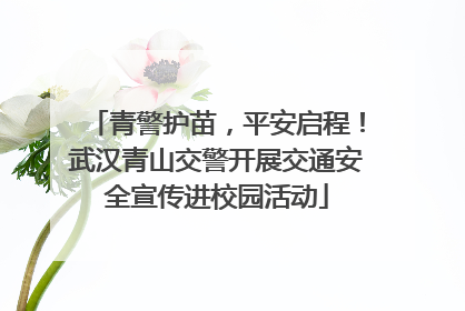 青警护苗，平安启程！武汉青山交警开展交通安全宣传进校园活动
