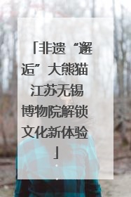 非遗“邂逅”大熊猫 江苏无锡博物院解锁文化新体验
