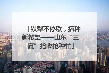 铁犁不停歇，播种新希望——山东“三夏”抢收抢种忙