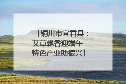 铜川市宜君县：艾草飘香迎端午 特色产业助振兴