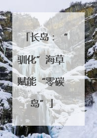 长岛：“驯化”海草赋能“零碳岛”