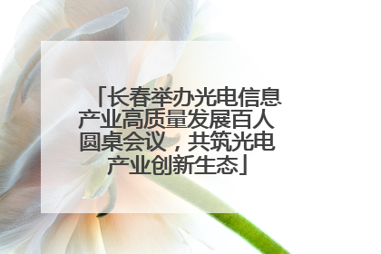 长春举办光电信息产业高质量发展百人圆桌会议，共筑光电产业创新生态