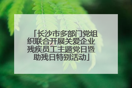 长沙市多部门党组织联合开展关爱企业残疾员工主题党日暨助残日特别活动
