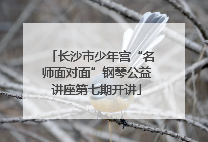 长沙市少年宫“名师面对面”钢琴公益讲座第七期开讲