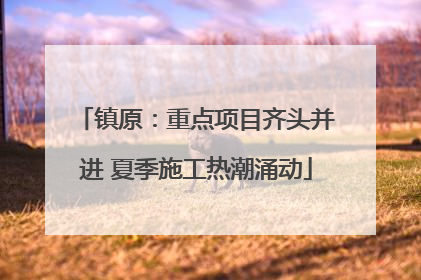 镇原：重点项目齐头并进 夏季施工热潮涌动