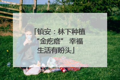 镇安：林下种植“金疙瘩” 幸福生活有盼头