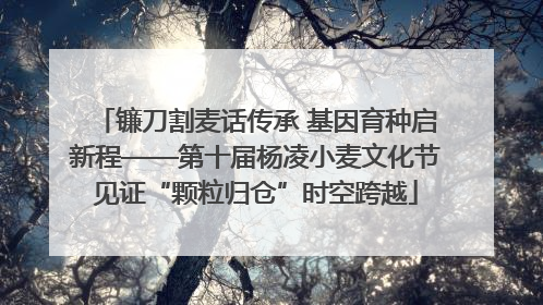 镰刀割麦话传承 基因育种启新程——第十届杨凌小麦文化节见证“颗粒归仓”时空跨越