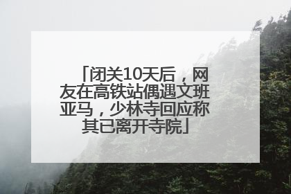 闭关10天后，网友在高铁站偶遇文班亚马，少林寺回应称其已离开寺院