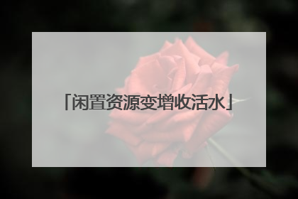 闲置资源变增收活水