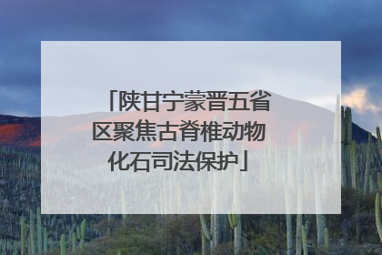 陕甘宁蒙晋五省区聚焦古脊椎动物化石司法保护