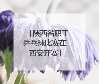 陕西省职工乒乓球比赛在西安开赛