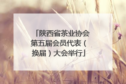 陕西省茶业协会第五届会员代表（换届）大会举行