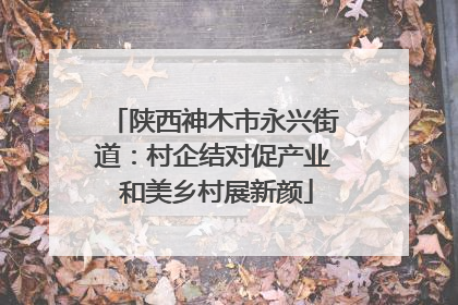 陕西神木市永兴街道：村企结对促产业 和美乡村展新颜