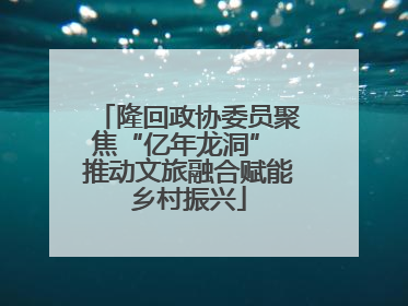隆回政协委员聚焦“亿年龙洞” 推动文旅融合赋能乡村振兴