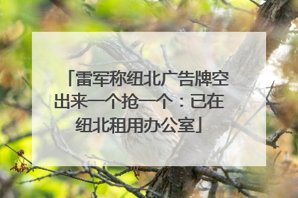 雷军称纽北广告牌空出来一个抢一个：已在纽北租用办公室