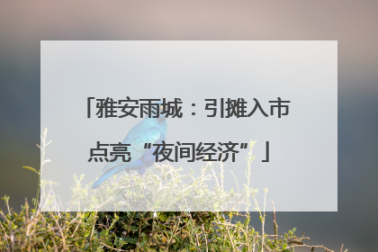 雅安雨城：引摊入市 点亮“夜间经济”