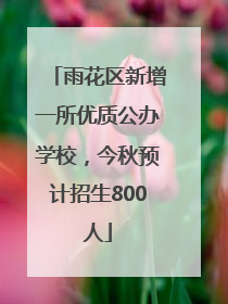 雨花区新增一所优质公办学校，今秋预计招生800人