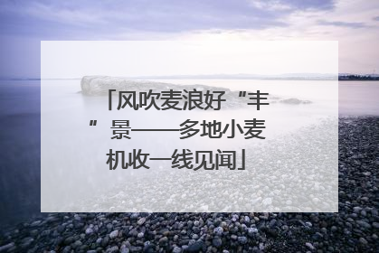 风吹麦浪好“丰”景——多地小麦机收一线见闻