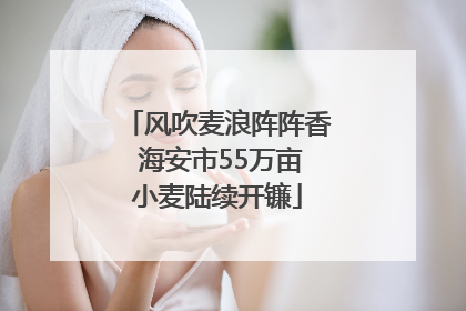 风吹麦浪阵阵香 海安市55万亩小麦陆续开镰