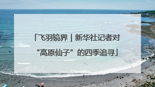 飞羽镜界｜新华社记者对“高原仙子”的四季追寻