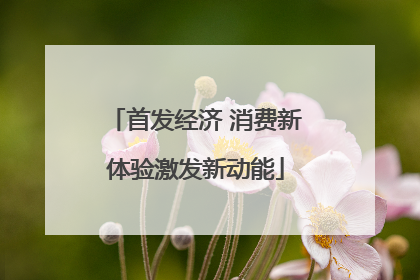 首发经济 消费新体验激发新动能