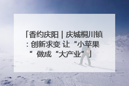 香约庆阳｜庆城桐川镇：创新求变 让“小苹果”做成“大产业”