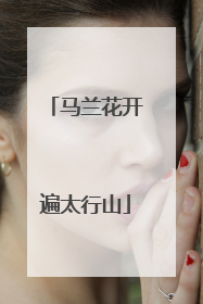 马兰花开遍太行山