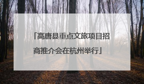高唐县重点文旅项目招商推介会在杭州举行