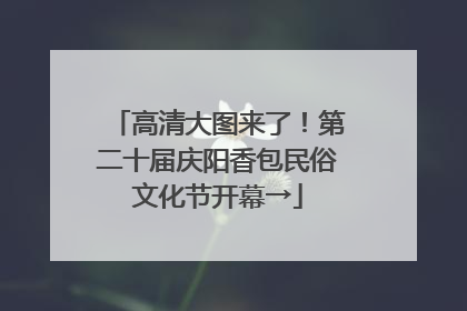 高清大图来了！第二十届庆阳香包民俗文化节开幕→