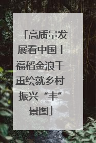 高质量发展看中国丨福稻金浪千重绘就乡村振兴“丰”景图