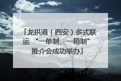 龙拱港（西安）多式联运 “一单制、一箱制” 推介会成功举办