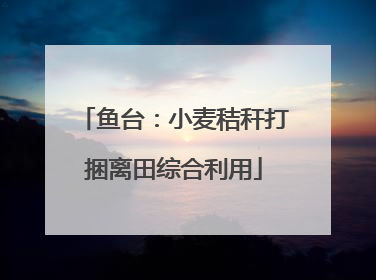 鱼台：小麦秸秆打捆离田综合利用