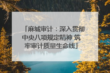 麻城审计：深入贯彻中央八项规定精神 筑牢审计质量生命线