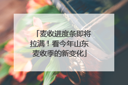 麦收进度条即将拉满！看今年山东麦收季的新变化