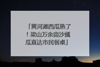 黄河滩西瓜熟了！梁山万余亩沙瓤瓜直达市民餐桌