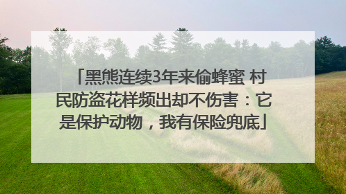 黑熊连续3年来偷蜂蜜 村民防盗花样频出却不伤害：它是保护动物，我有保险兜底