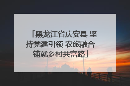 黑龙江省庆安县 坚持党建引领 农旅融合铺就乡村共富路