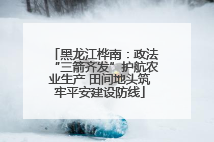 黑龙江桦南：政法“三箭齐发”护航农业生产 田间地头筑牢平安建设防线