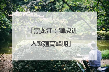 黑龙江：狮虎进入繁殖高峰期