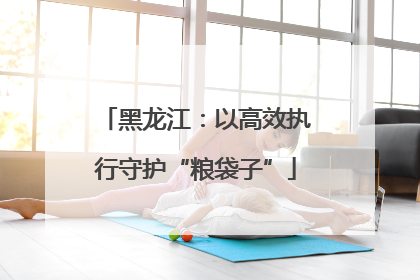 黑龙江：以高效执行守护“粮袋子”
