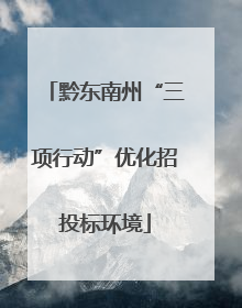 黔东南州“三项行动”优化招投标环境